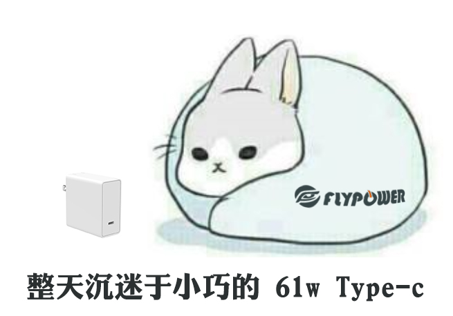 你還在用轉接頭嗎？—飛天鷹Type-C充電器廠家
